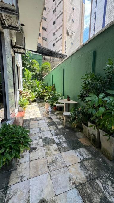 Jardim Iracema Apartment ฟอร์ตาเลซา ภายนอก รูปภาพ