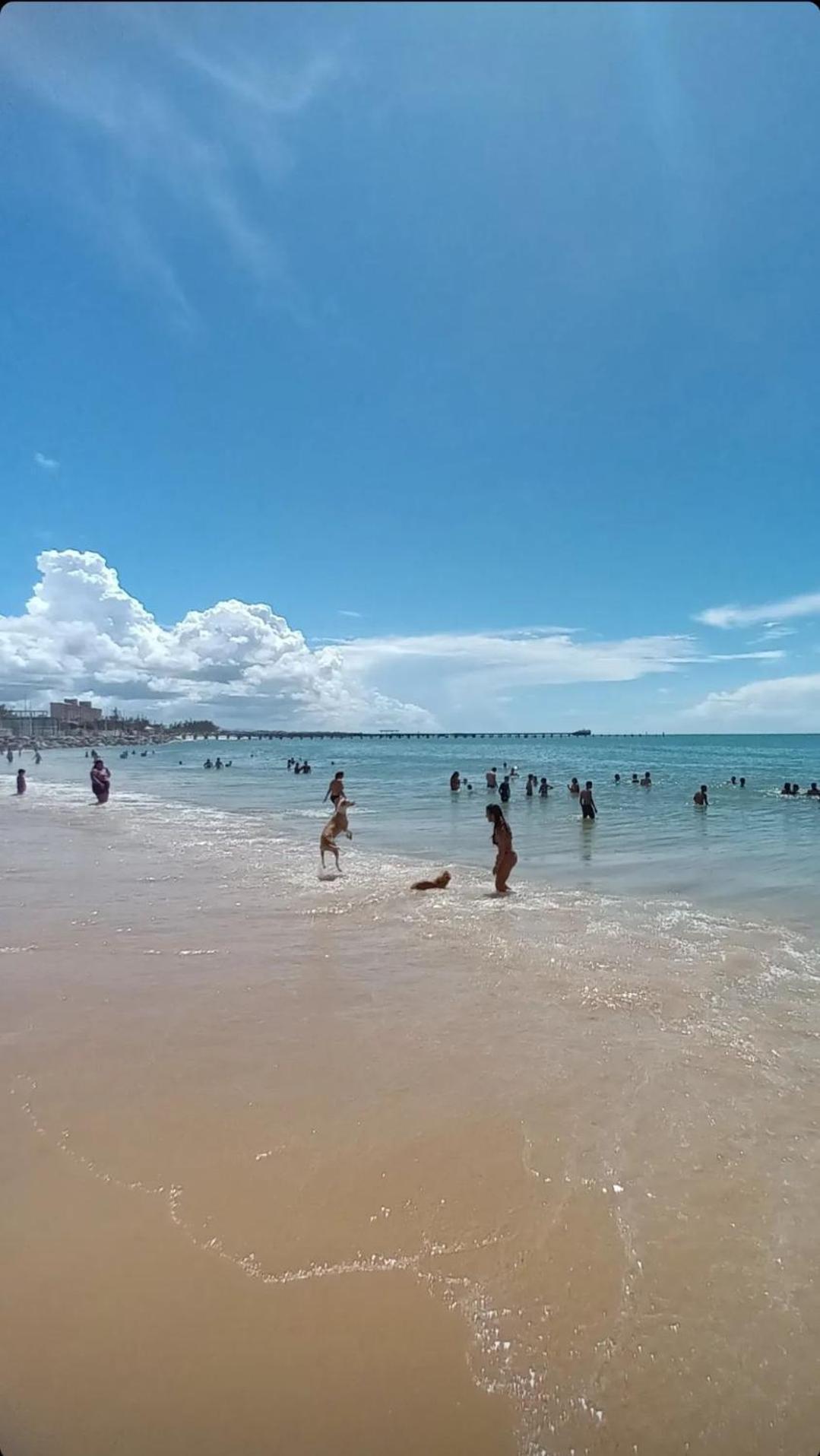 Jardim Iracema Apartment ฟอร์ตาเลซา ภายนอก รูปภาพ